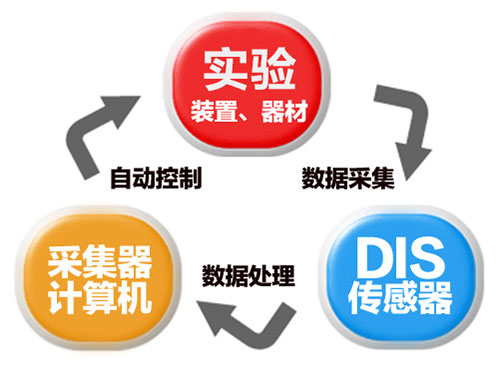 1727665002974211.jpg 8.jpg