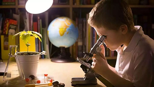 1740708120842562.jpg 5.jpg