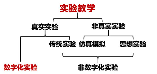 1750391083496465.jpg 3.jpg